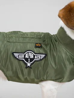 DOG MA-1 NYLON FLIGHT JACKET