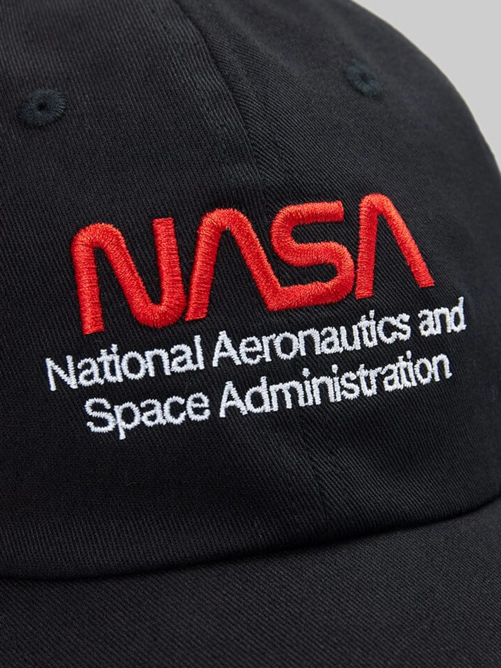NASA WORM LOGO CAP