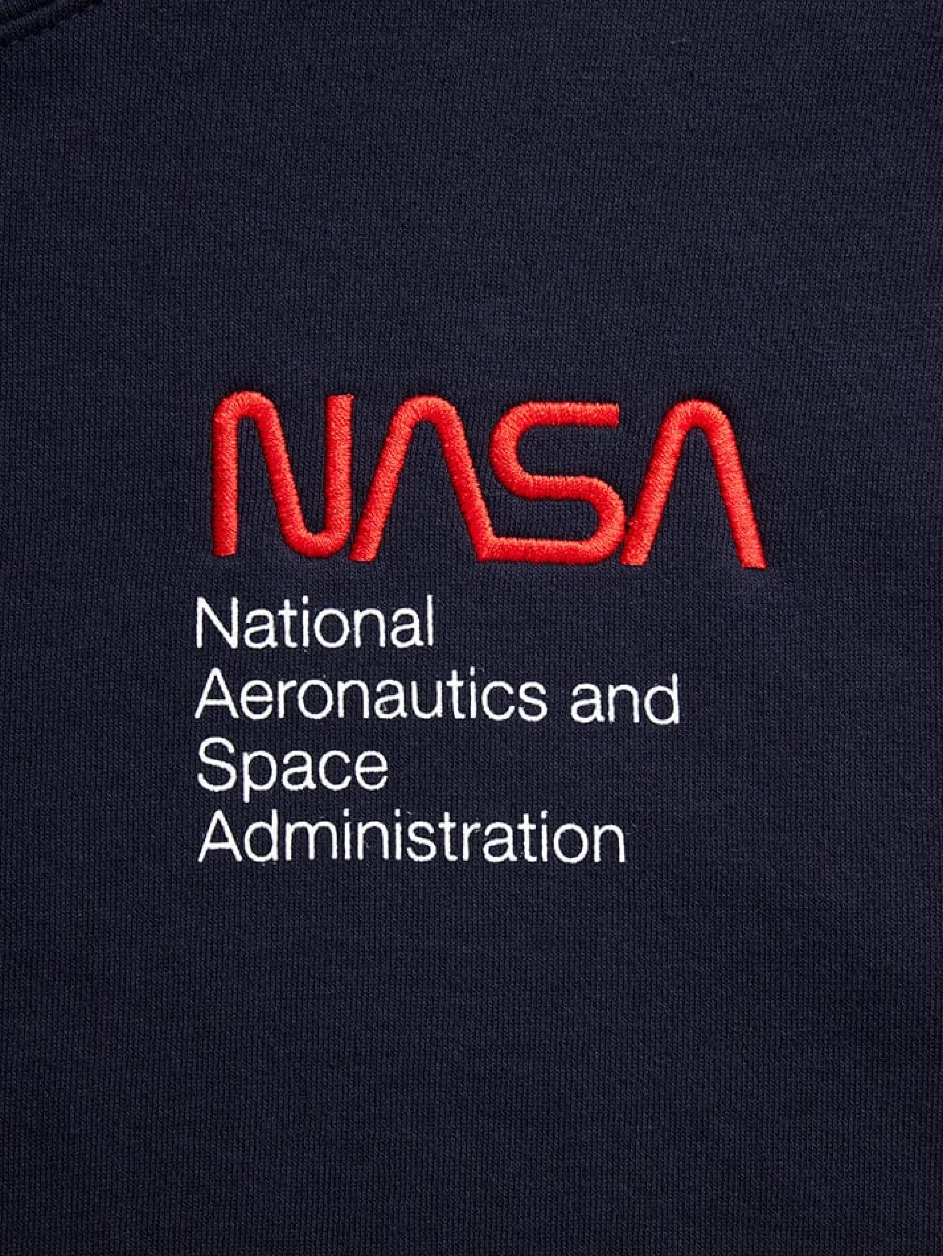 NASA WORM LOGO HOODIE