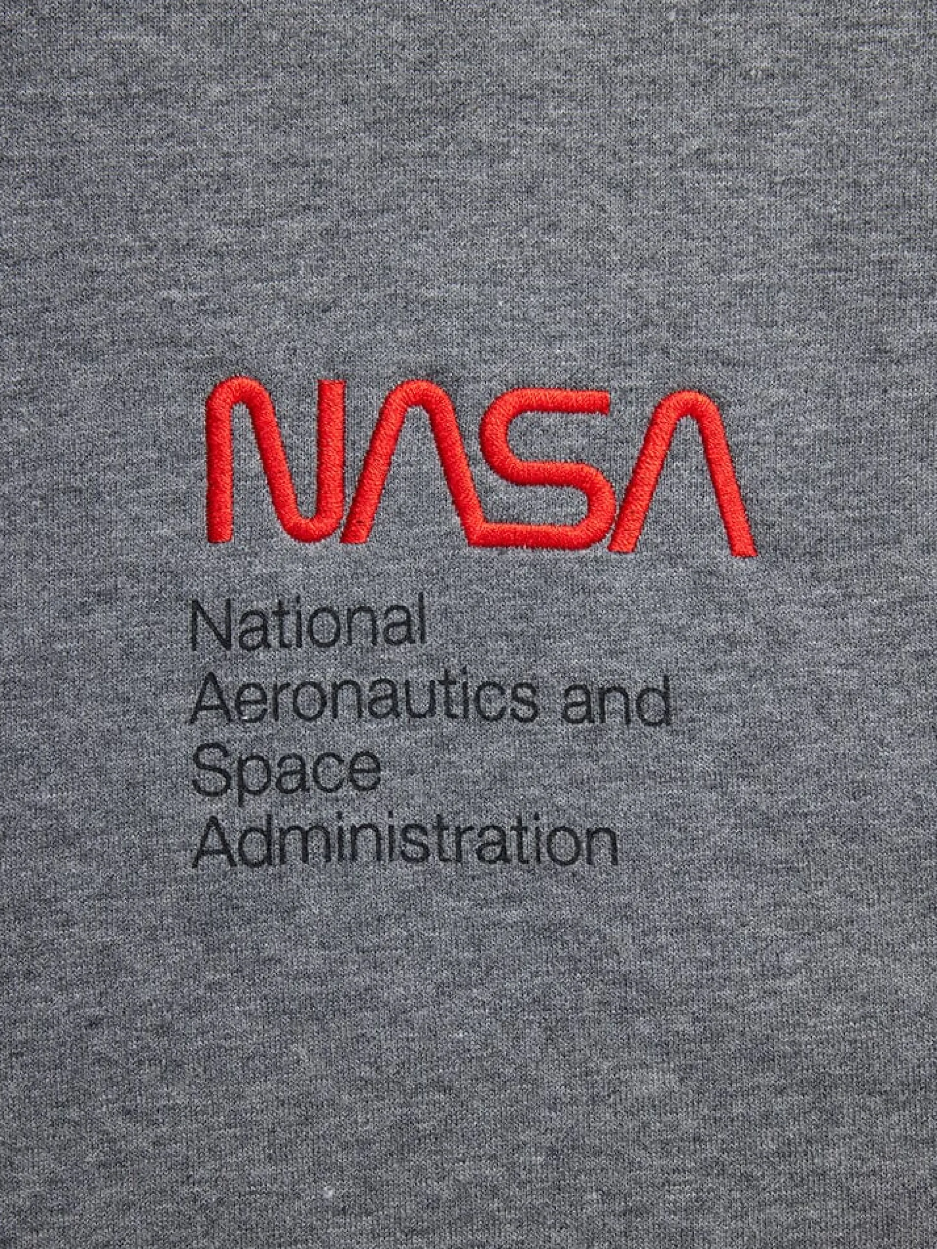 NASA WORM LOGO HOODIE